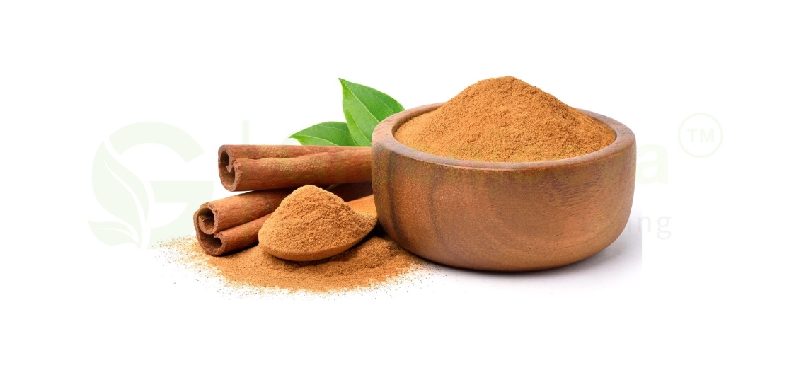 cinnamon extract powder   